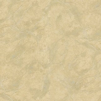 Dutch Wallcoverings Dutch Wallcoverings - FC Blumarine 5 10mx106cm - 29053