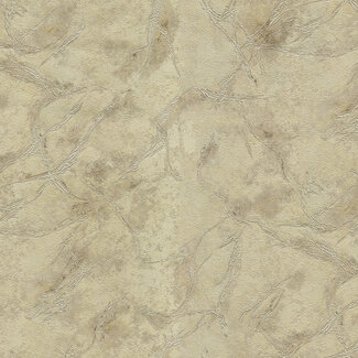 Dutch Wallcoverings Dutch Wallcoverings - FC Blumarine 5 10mx106cm - 29055