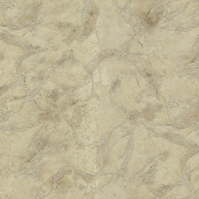 Dutch Wallcoverings Dutch Wallcoverings - FC Blumarine 5 10mx106cm - Vliesbehang - 10m x 106cm - 29055