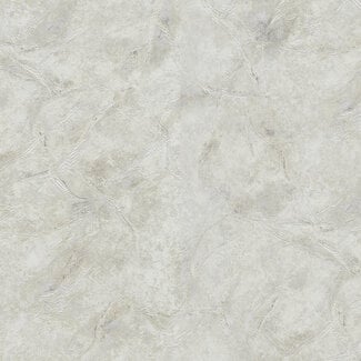 Dutch Wallcoverings Dutch Wallcoverings - FC Blumarine 5 10mx106cm - 29061