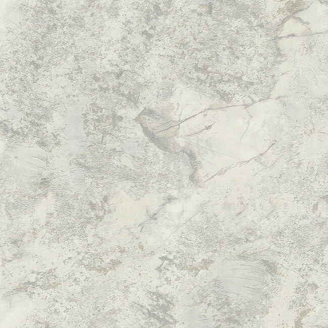 Dutch Wallcoverings Dutch Wallcoverings - FC Carrara Best- 10mx106cm - Vliesbehang - 10m x 106cm - 85605