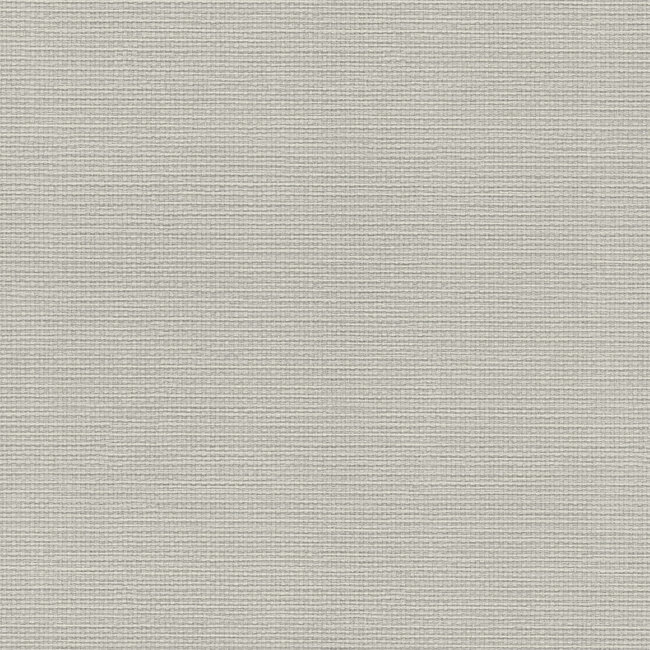 Dutch Wallcoverings Dutch Wallcoverings - FC Essential- uni l.grijs 10mx106cm - Vliesbehang - 10m x 53cm - 73605