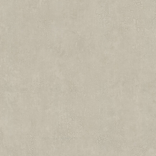 Dutch Wallcoverings Dutch Wallcoverings - FC Essential- uni beige 10mx106cm - Vliesbehang - 10m x 53cm - 73634