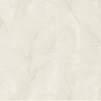 Dutch Wallcoverings Dutch Wallcoverings - FC Essential- uni l.grijs 10mx106cm - 73643