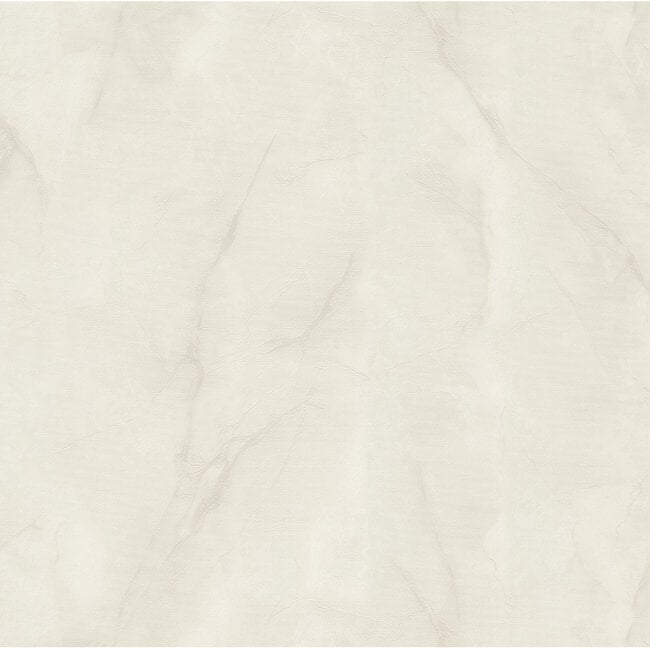 Dutch Wallcoverings Dutch Wallcoverings - FC Essential- uni l.grijs 10mx106cm - Vliesbehang - 10m x 53cm - 73643