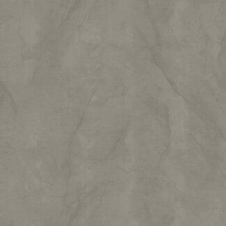 Dutch Wallcoverings Dutch Wallcoverings - FC Essential- uni greige 10mx106cm - 73648