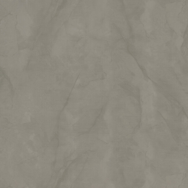 Dutch Wallcoverings Dutch Wallcoverings - FC Essential- uni greige 10mx106cm - Vliesbehang - 10m x 53cm - 73648