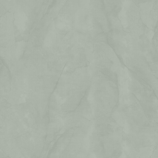 Dutch Wallcoverings Dutch Wallcoverings - FC Essential- uni groen 10mx106cm - Vliesbehang - 10m x 53cm - 73649