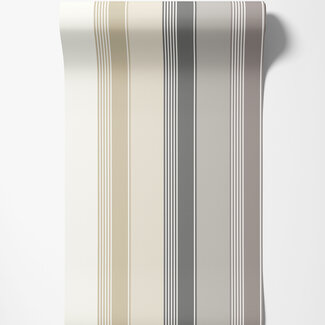 Dutch Wallcoverings Dutch Wallcoverings - FC Laid Bare- Multi Stripe Slate Mix - LBK50120W