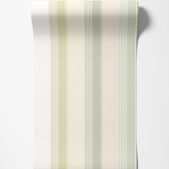 Dutch Wallcoverings Dutch Wallcoverings - FC Laid Bare- Multi Stripe Pistachio Mix - Vliesbehang - 10m x 50cm - LBK50139W