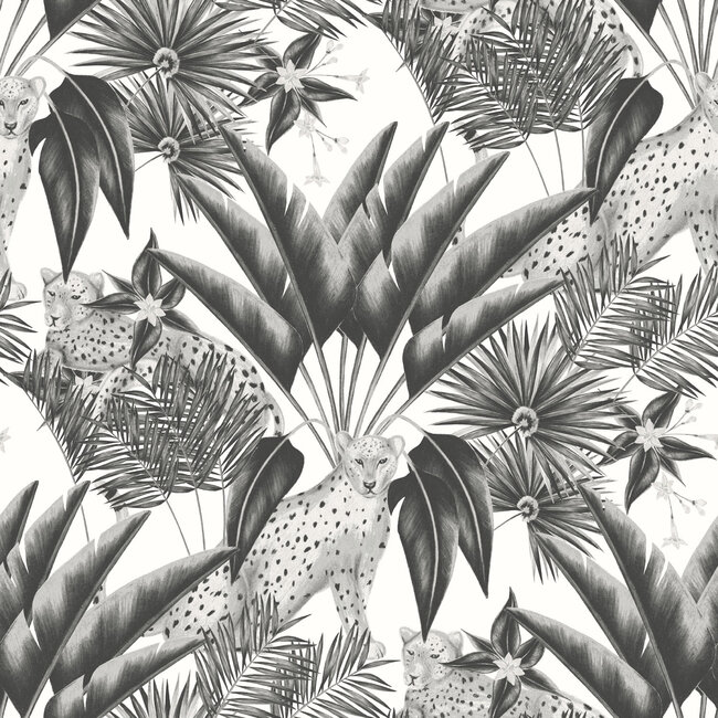 Dutch Wallcoverings Dutch Wallcoverings - FC Laid Bare- Jungle Cheetah Raven - Vliesbehang - 10m x 50cm - LBK50122W