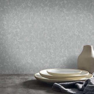 Dutch Wallcoverings Dutch Wallcoverings - FC New Tekko dessin grijs - 20011