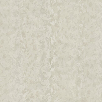 Dutch Wallcoverings Dutch Wallcoverings - FC New Tekko dessin grijs/zilver - 20012
