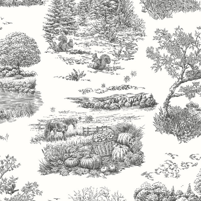 Dutch Wallcoverings Dutch Wallcoverings - FC Riches of Nature- Eve Toile Noir - Vliesbehang - 10m x 50cm - RON50125W