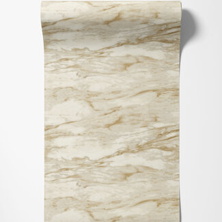 Dutch Wallcoverings Dutch Wallcoverings - FC Roberto Cavalli 9- marmer beige - 21024