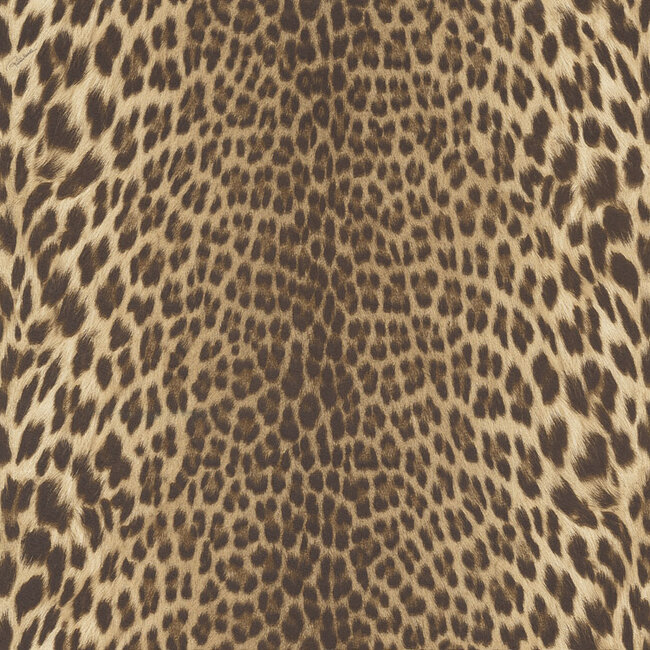Dutch Wallcoverings Dutch Wallcoverings - FC Roberto Cavalli 9- panter bruin - Vliesbehang - 10m x 106cm - 21041
