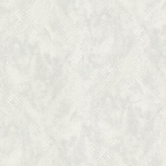 Dutch Wallcoverings Dutch Wallcoverings - FC Roberto Cavalli 9- dessin wit - 21059
