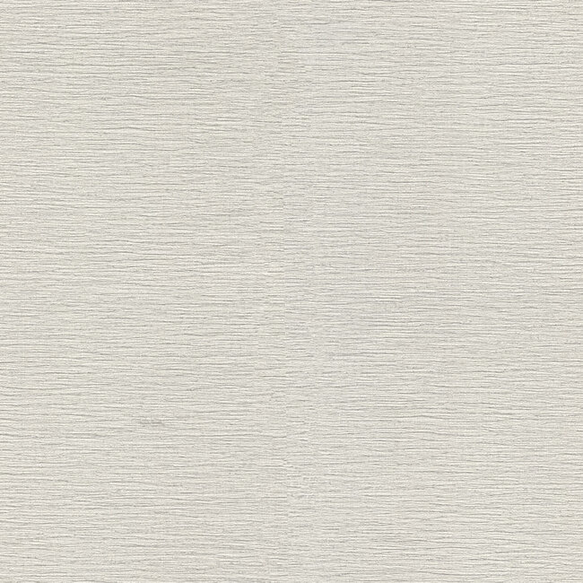 Dutch Wallcoverings Dutch Wallcoverings - FC Roberto Cavalli 9- uni grijs - Vliesbehang - 10m x 106cm - 21083