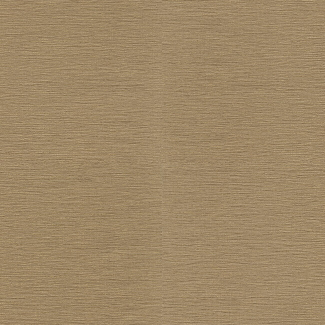 Dutch Wallcoverings Dutch Wallcoverings - FC Roberto Cavalli 9- uni goud - Vliesbehang - 10m x 106cm - 21089