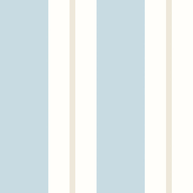 Dutch Wallcoverings Dutch Wallcoverings - FC Simply Stripes - Wide Stripe Wedgewood - Vliesbehang - 10m x 50cm - SIS50133W
