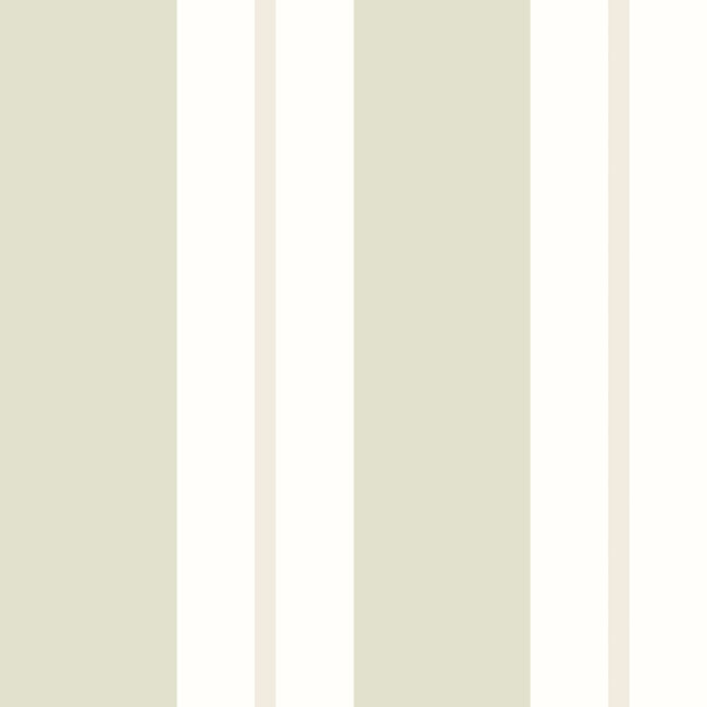 Dutch Wallcoverings Dutch Wallcoverings - FC Simply Stripes - Wide Stripe Sage - Vliesbehang - 10m x 50cm - SIS50135W