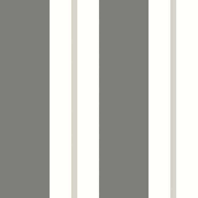 Dutch Wallcoverings Dutch Wallcoverings - FC Simply Stripes - Wide Stripe Charcoal - Vliesbehang - 10m x 50cm - SIS50138W
