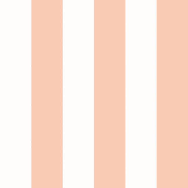 Dutch Wallcoverings Dutch Wallcoverings - FC So Stripey - Bloc Stripe Peach Puff - Vliesbehang - 10m x 50cm - STR50114W