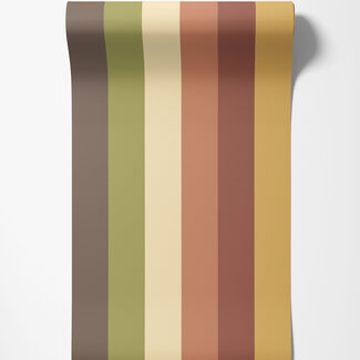 Dutch Wallcoverings Dutch Wallcoverings - FC So Stripey - Rainbow Bloc Autumn Twist - STR50120W