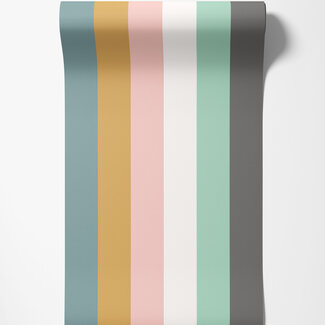 Dutch Wallcoverings Dutch Wallcoverings - FC So Stripey - Rainbow Bloc Carnival Pop - STR50123W