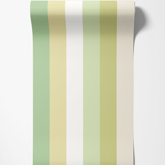 Dutch Wallcoverings Dutch Wallcoverings - FC So Stripey - Rainbow Bloc Pear - STR50126W