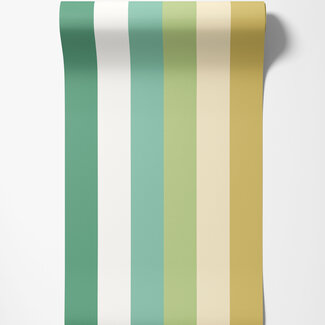 Dutch Wallcoverings Dutch Wallcoverings - FC So Stripey - Rainbow Bloc Pine Nut - STR50127W