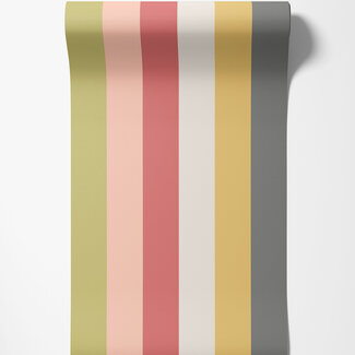 Dutch Wallcoverings Dutch Wallcoverings - FC So Stripey - Rainbow Bloc Cherry Twist - STR50128W