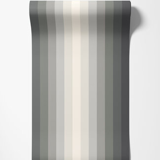 Dutch Wallcoverings Dutch Wallcoverings - FC So Stripey - Tone On Tone Charcoal - STR50144W