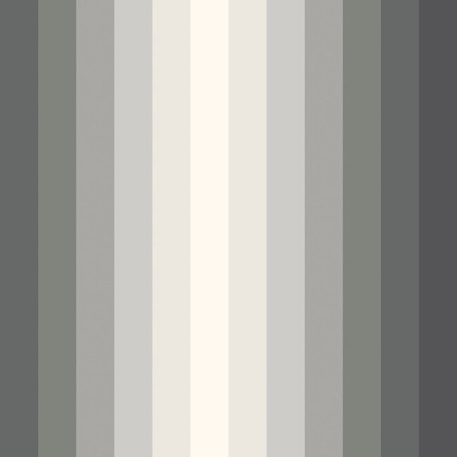 Dutch Wallcoverings Dutch Wallcoverings - FC So Stripey - Tone On Tone Charcoal - Vliesbehang - 10m x 50cm - STR50144W