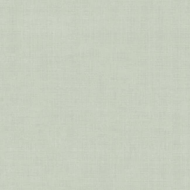 Dutch Wallcoverings Dutch Wallcoverings - FC Sommarang- Jute light green - Vliesbehang - 10m x 53cm - 16024