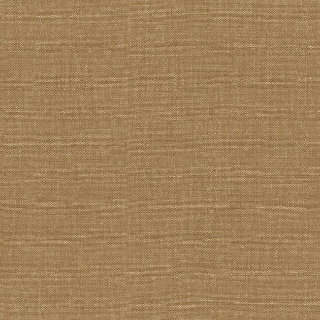 Dutch Wallcoverings Dutch Wallcoverings - FC Tendenze- uni 10mx106cm - Vliesbehang - 10m x 106cm - 73810