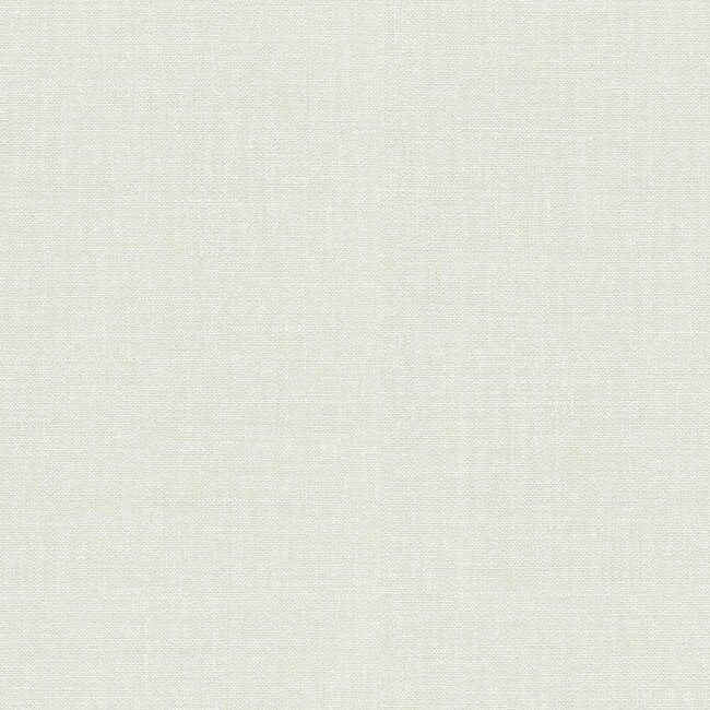 Dutch Wallcoverings Dutch Wallcoverings - FC Tendenze- uni 10mx106cm - Vliesbehang - 10m x 106cm - 73813