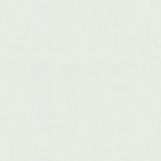 Dutch Wallcoverings Dutch Wallcoverings - FC Tendenze- uni 10mx106cm - Vliesbehang - 10m x 106cm - 73827