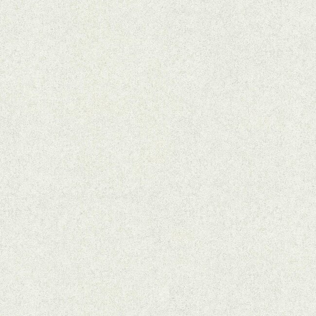 Dutch Wallcoverings Dutch Wallcoverings - FC Tendenze- uni 10mx106cm - Vliesbehang - 10m x 106cm - 73828