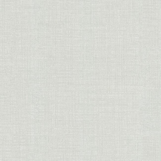 Dutch Wallcoverings Dutch Wallcoverings - FC Tendenze- uni 10mx106cm - Vliesbehang - 10m x 106cm - 73853