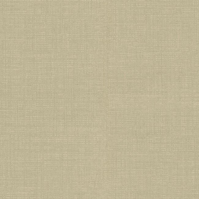 Dutch Wallcoverings Dutch Wallcoverings - FC Tendenze- uni 10mx106cm - Vliesbehang - 10m x 106cm - 73858