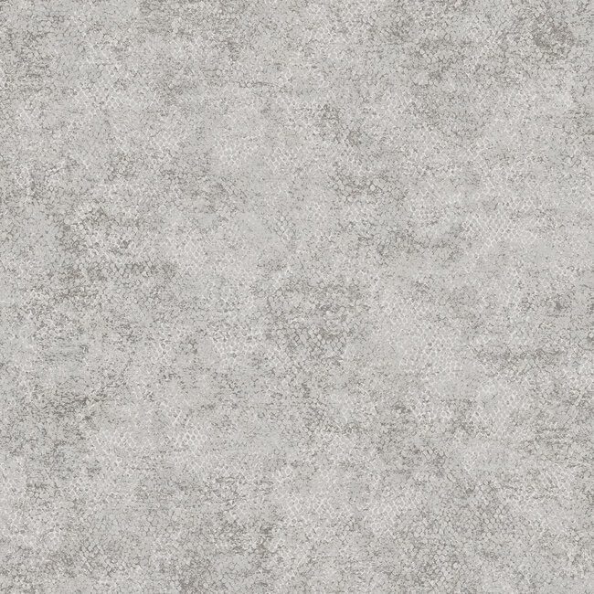 Dutch Wallcoverings Dutch Wallcoverings - FC Textura- Ophidian Grey - Vliesbehang - 10m x 53cm - 66121
