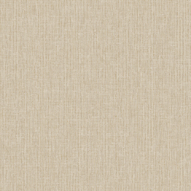 Dutch Wallcoverings Dutch Wallcoverings - FC Textura- Pique Taupe - Vliesbehang - 10m x 53cm - 66134