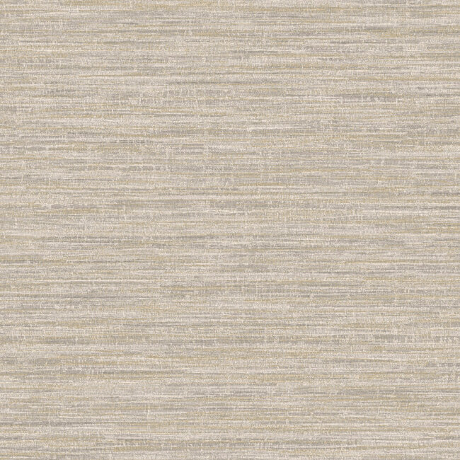Dutch Wallcoverings Dutch Wallcoverings - FC Textura- Rete Grey - Vliesbehang - 10m x 53cm - 66200