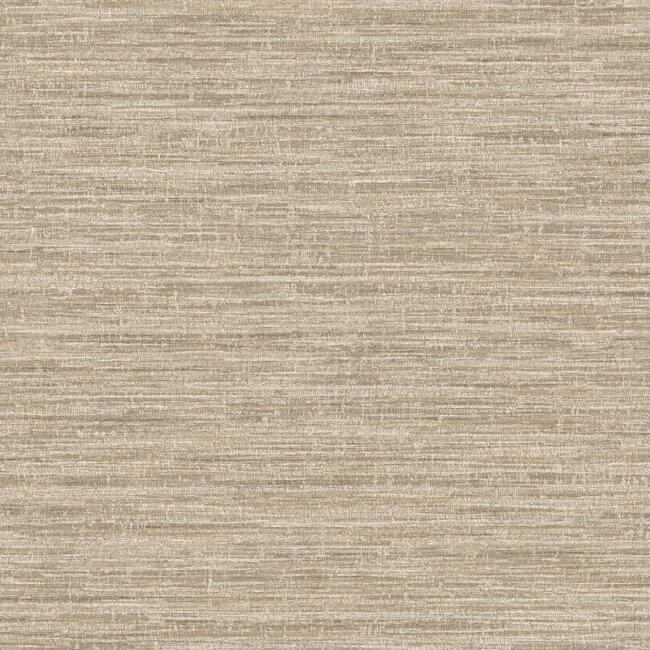 Dutch Wallcoverings Dutch Wallcoverings - FC Textura- Rete Taupe - Vliesbehang - 10m x 53cm - 66201