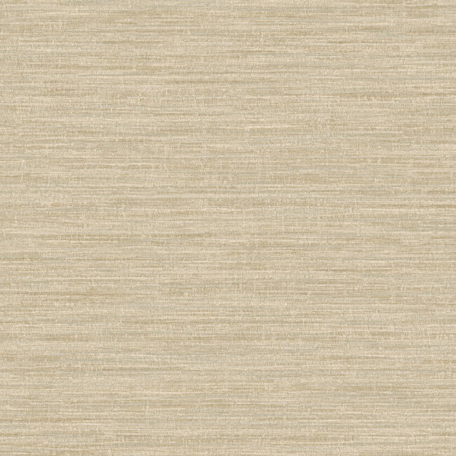 Dutch Wallcoverings Dutch Wallcoverings - FC Textura- Rete Cream - Vliesbehang - 10m x 53cm - 66203