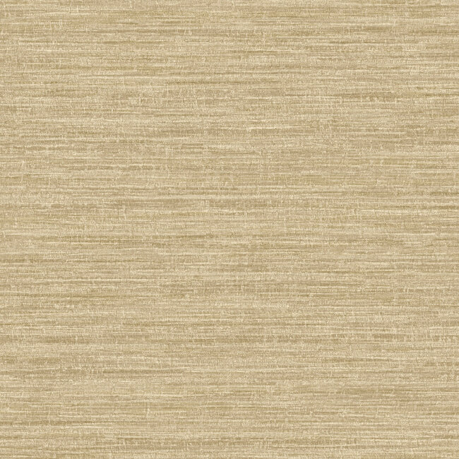 Dutch Wallcoverings Dutch Wallcoverings - FC Textura- Rete Beige - Vliesbehang - 10m x 53cm - 66204