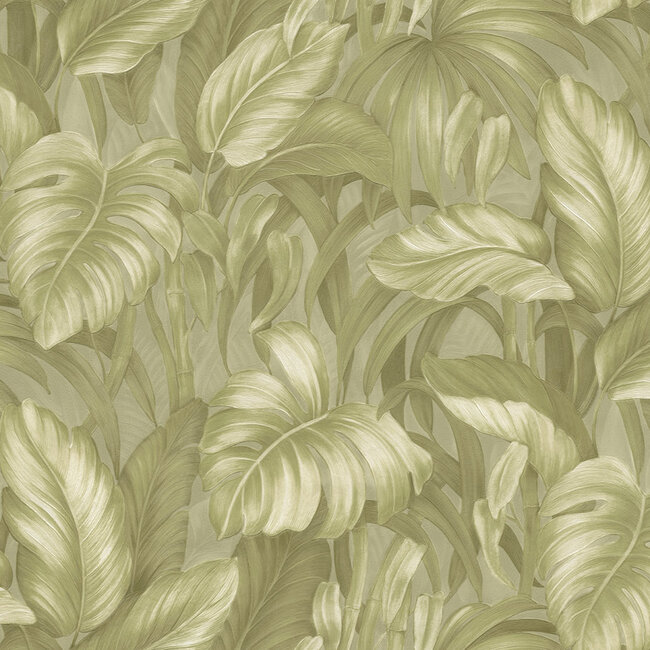 Dutch Wallcoverings Dutch Wallcoverings - FC Voyage- bladeren groen - Vliesbehang - 10m x 106cm - DB73721