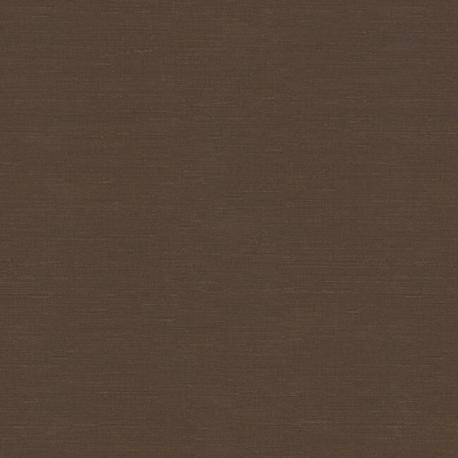 Dutch Wallcoverings Dutch Wallcoverings - FC Voyage- uni bruin - Vliesbehang - 10m x 106cm - DB73737