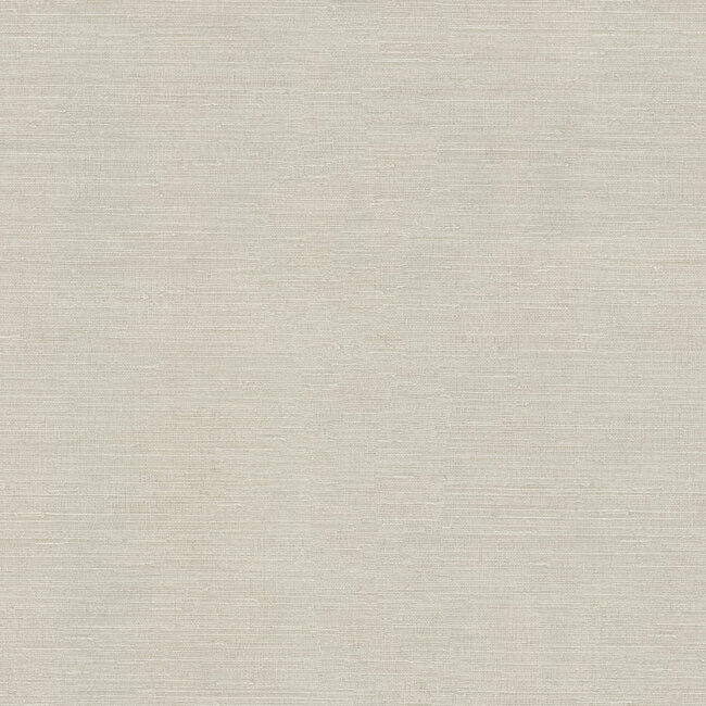 Dutch Wallcoverings Dutch Wallcoverings - FC Voyage- uni lichtgrijs - Vliesbehang - 10m x 106cm - DB73738